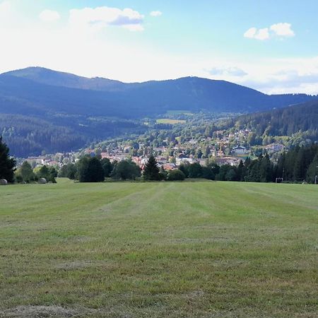 Apartman Železná Ruda Dış mekan fotoğraf