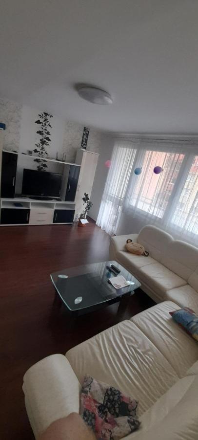 Apartman Železná Ruda Dış mekan fotoğraf